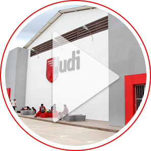 UDI - Multimedia