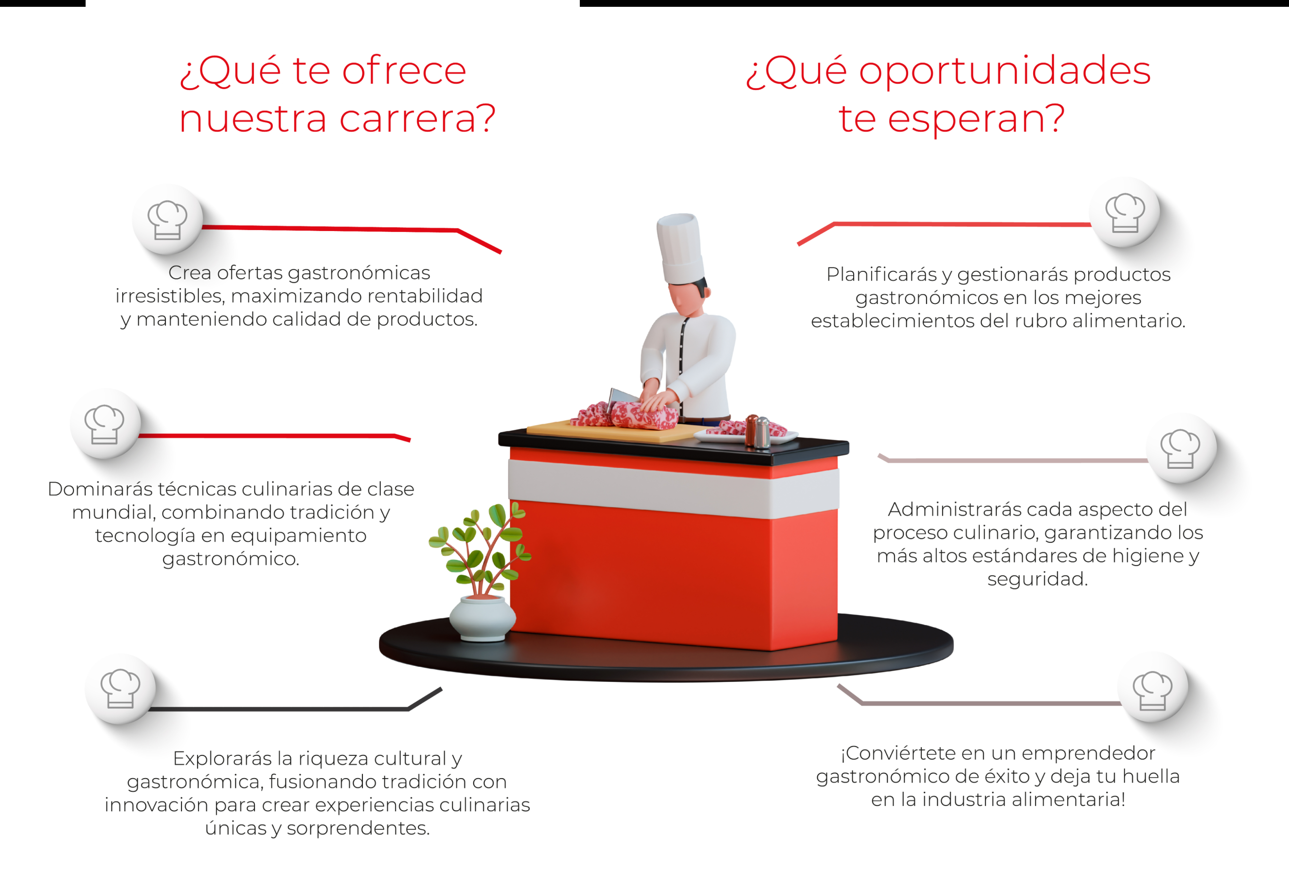 Beneficios de la carrera de gastronomía